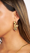 Aretes Mariposas de Oro